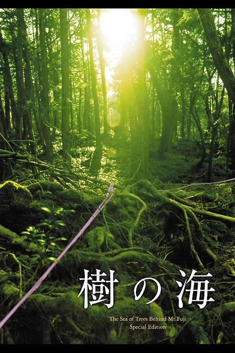 Jyukai: The Sea of Trees Behind Mt. Fuji